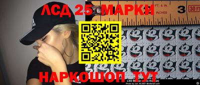 крисы Новодвинск