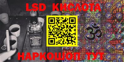 крисы Новодвинск