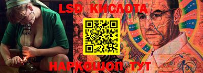 крисы Новодвинск