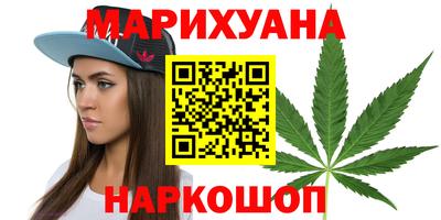 крисы Новодвинск