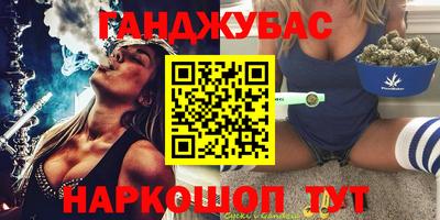крисы Новодвинск