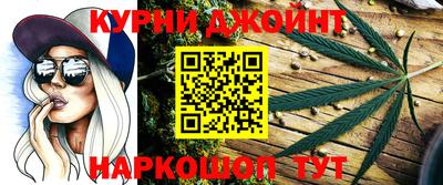 крисы Новодвинск