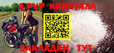 крисы Новодвинск