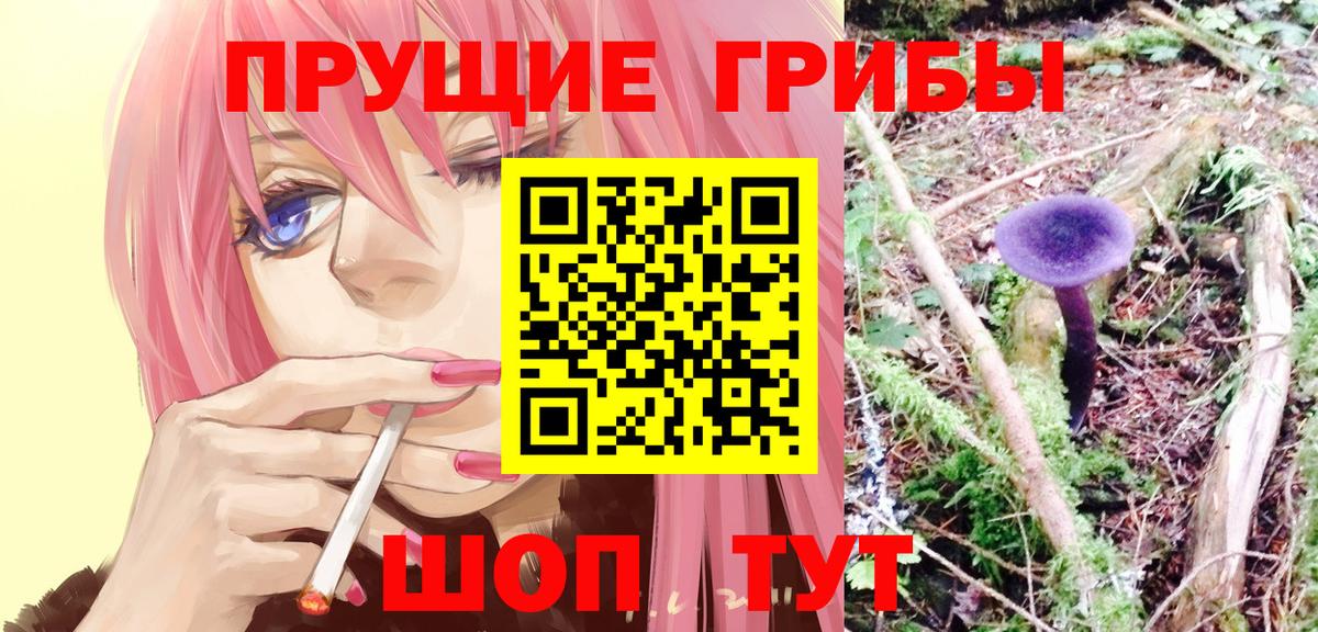 Галлюциногенные грибы MAGIC MUSHROOMS Пушкино