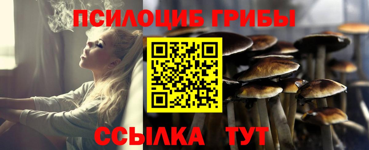 Галлюциногенные грибы Magic Shrooms  Вход с VPN  Псилоцибиновые грибы прущие грибы  Пушкино 